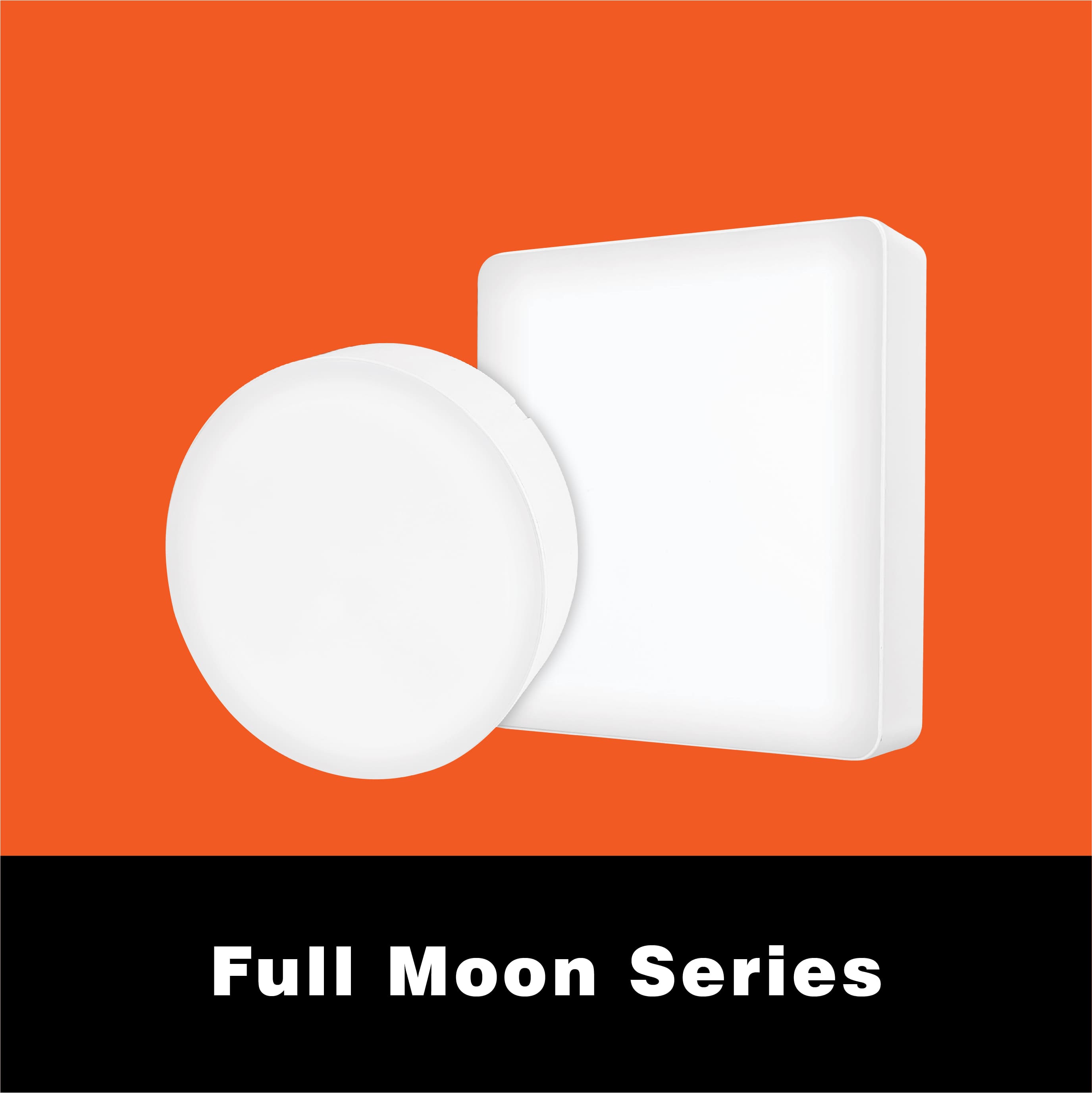 FULL MOON SURFACE LIGHTS